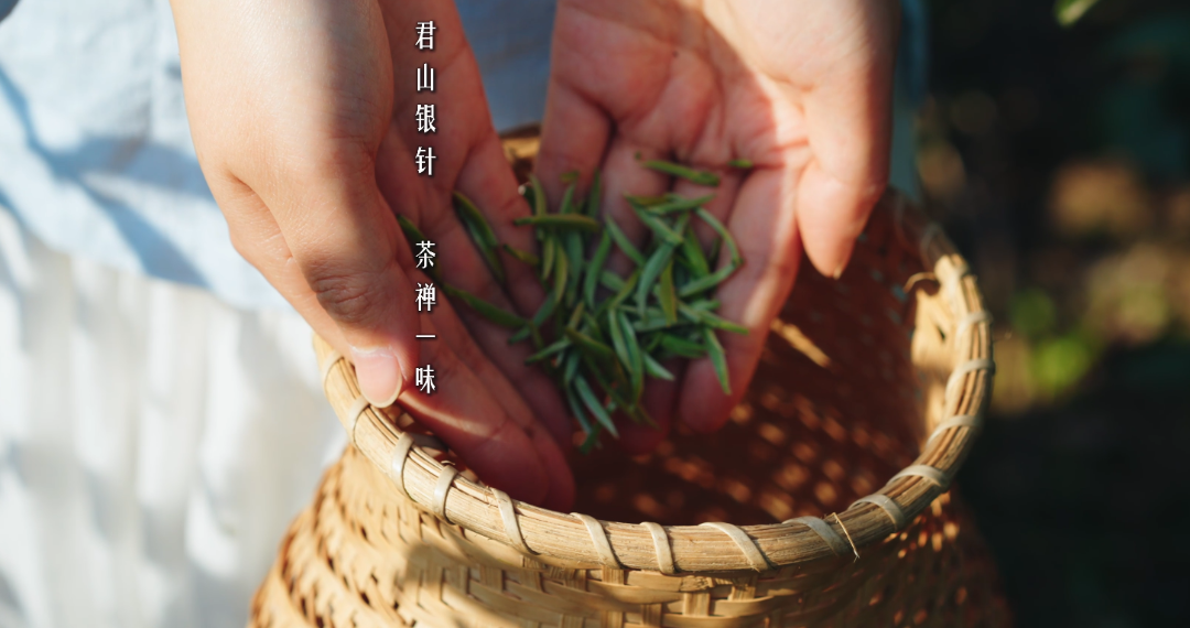 微信图片_20250320125835.png